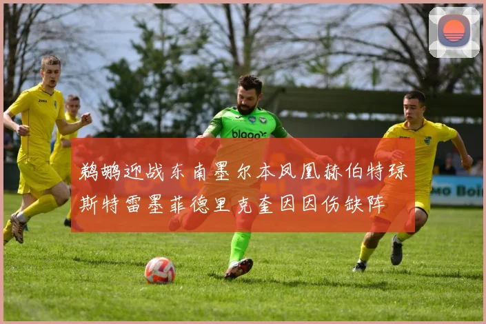 鹈鹕迎战东南墨尔本凤凰赫伯特琼斯特雷墨菲德里克奎因因伤缺阵